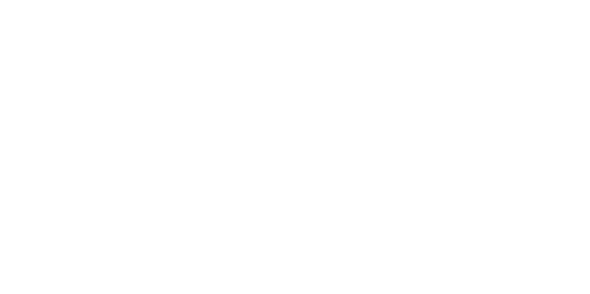 LOGO VOILES TRADITIONNELLES DU MORBIHAN BLANC sans fond